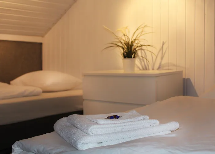 酒店 Df Am Ring 3*